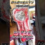 誰でも簡単！エイジング塗装品紹介 #特撮改造 #ヘイパウチ #仮面ライダー