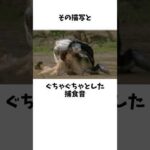 歴史に残る仮面ライダーグロすぎるシーン【カブキの捕食シーン】