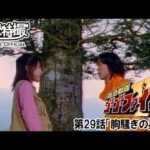 救急戦隊ゴーゴーファイブ　第29話[公式]