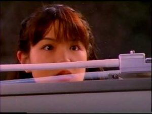 特撮 メガレンジャー 見上げパンチラ