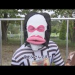 特撮の世界が現実に！？ ヒーロー＆怪獣が激走　国内初のウルトラマンマラソン